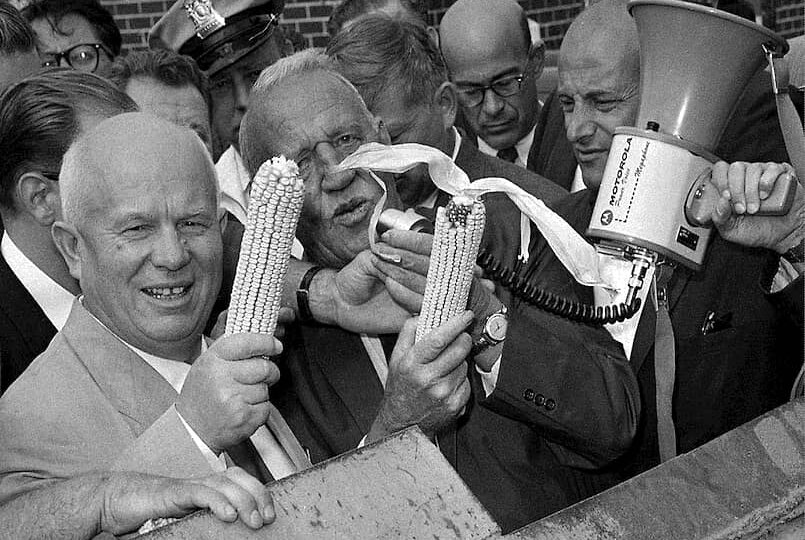 Почему Хрущев так любил кукурузу и к чему это привело?