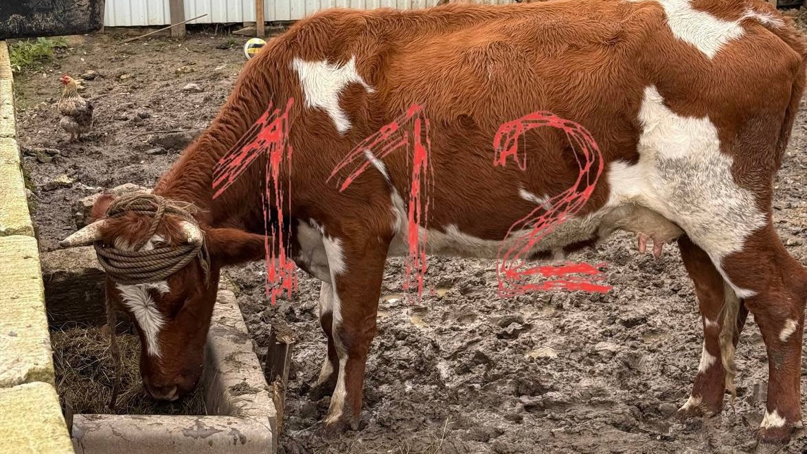     Telegram-канал 112