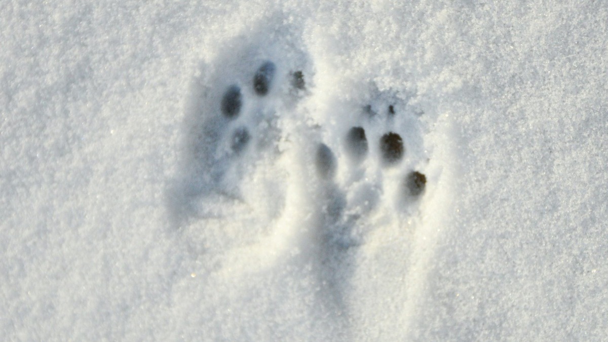    Даже если вы не планируете прогулки по горам, лучше отдать предпочтение износостойкой подошве