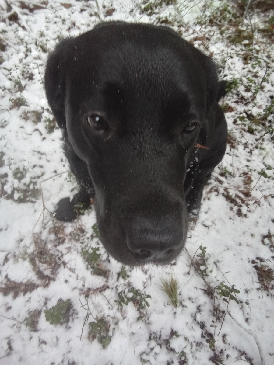 Фото автора. 