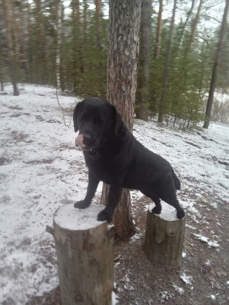 Фото автора. 