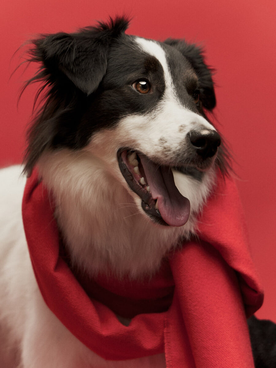    Rendez-Vous и фонд «Второе дыхание» запустили социальный проект (фото 3)