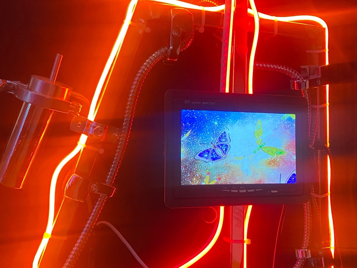 Фото: Тульская служба новостей