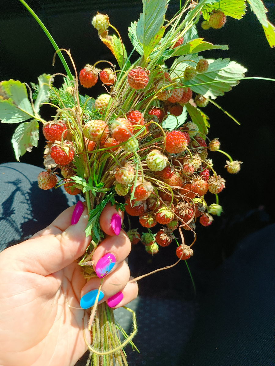 Это на работе на полянку набрела