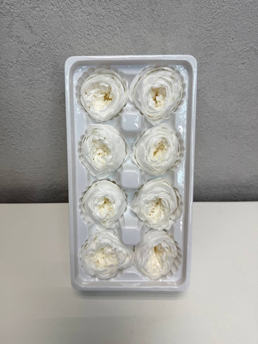 Стабилизированные розы от поставщика