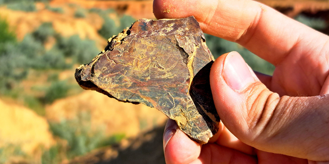 В гостях у старого Полковника