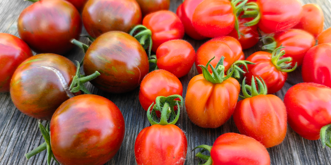 Великий обмен 2025-26!