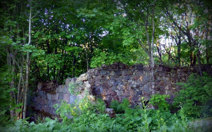 Рис.  Развалины барской усадьбы Я.Брюса в деревне Пятая гора
