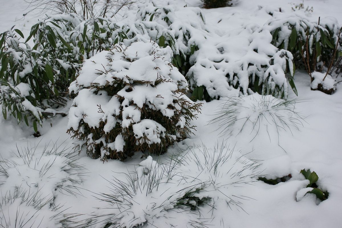 Вот какая красота у нас сегодня. Лепить снеговиков, играть в снежки, чистить дорожки, рисовать на снегу, бегать и играть – куча задач на прогулку. 
