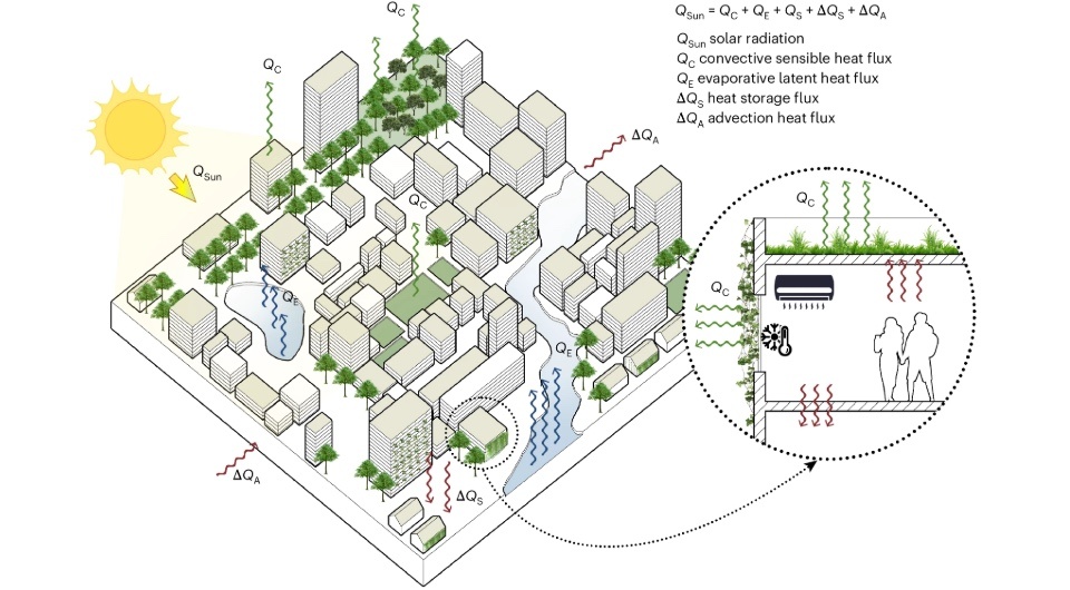   Hailu Wei et al. / Nature Cities, 2025