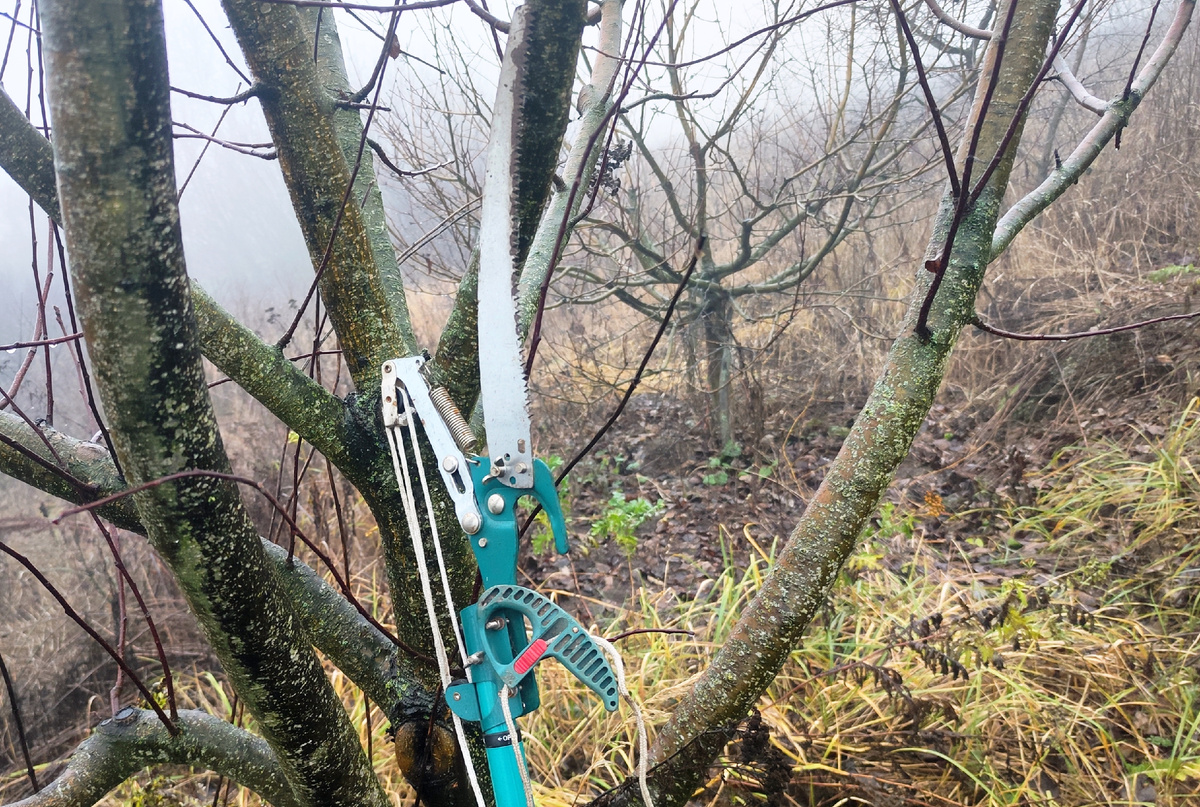 Высоторез для обрезки деревьев 