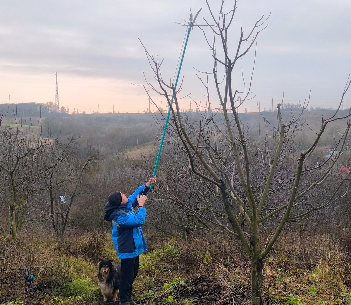 Да, такой нам выдалась первая неделя декабря, без снега
