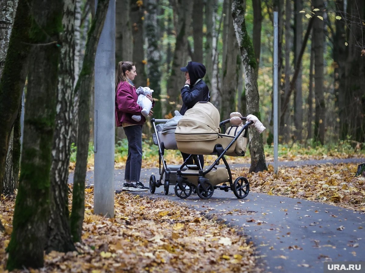    Правительство подготовит предложения по повышению демографии