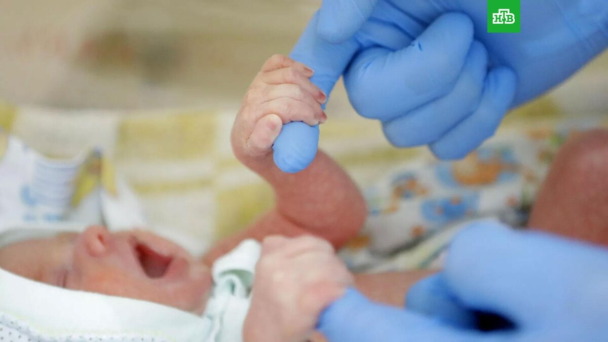    Фото: РИА Новости © 2025, Антон Вергун