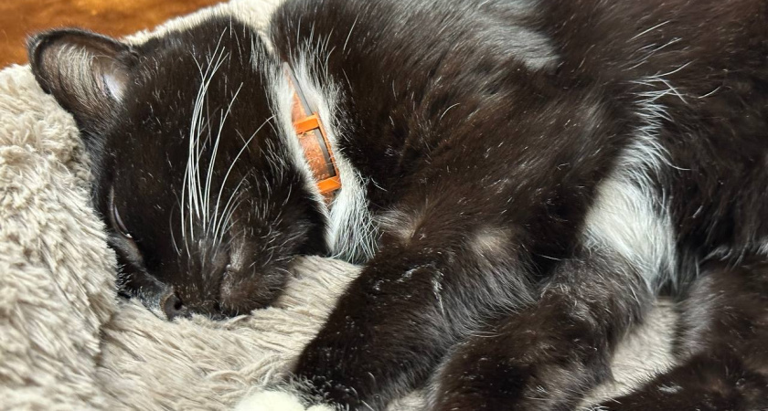    Фото из архива редакции