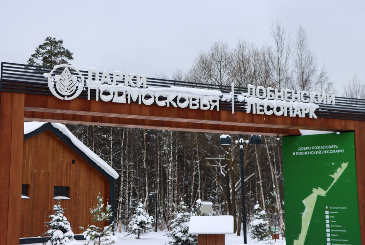 Фото из инета. Лобненский лесопарк