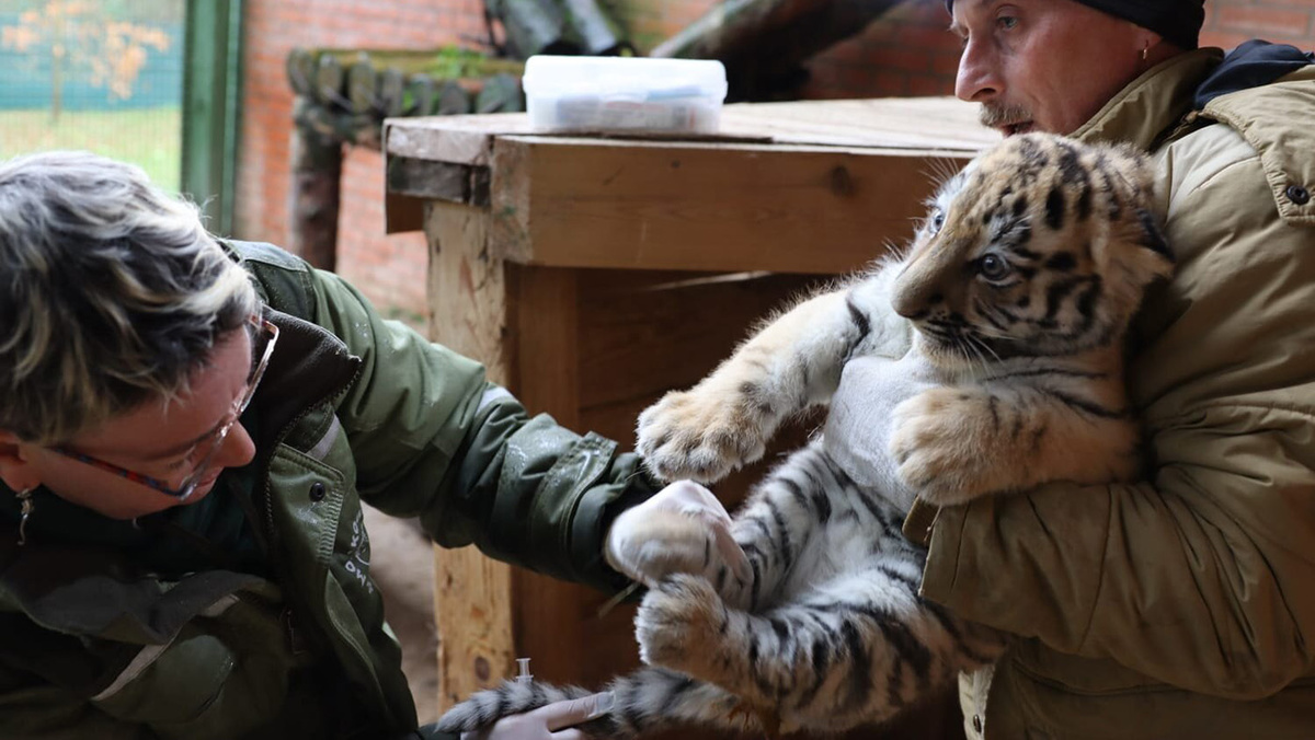   Пресс-служба Московского зоопарка