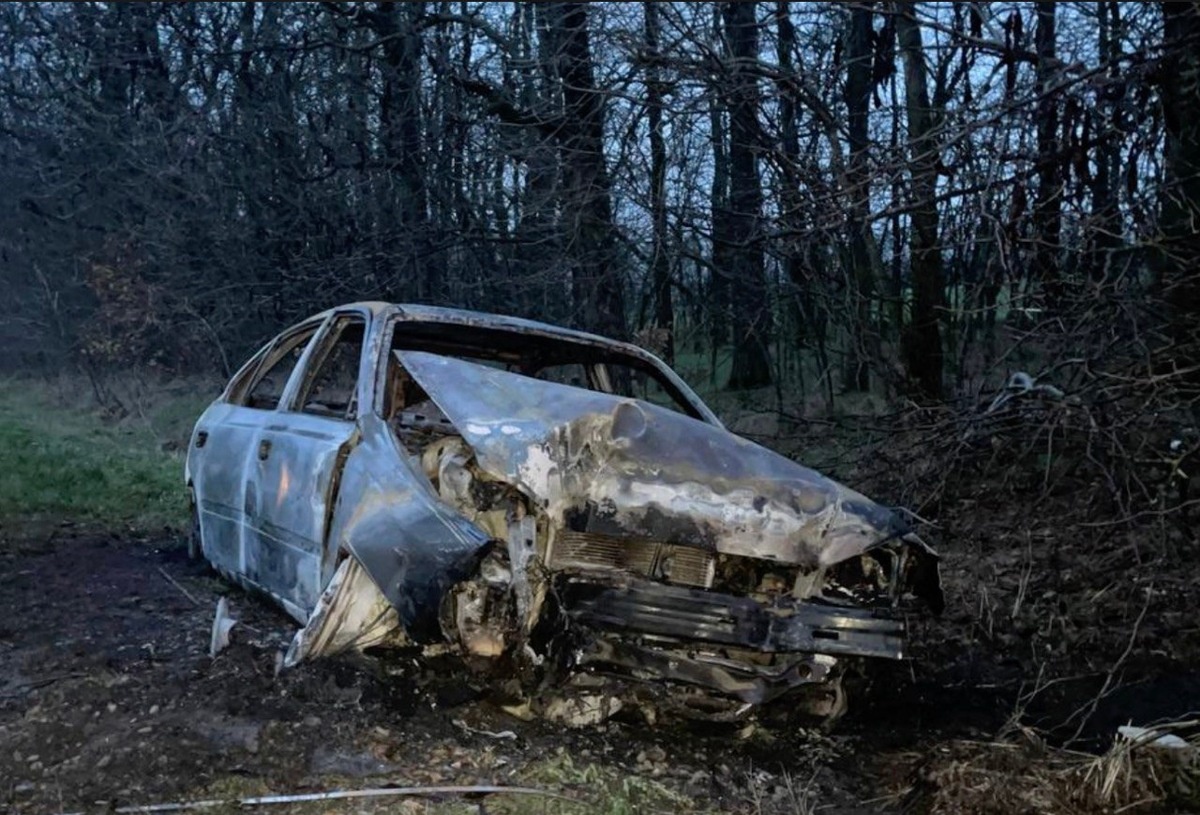    Фото t.me/gibdd123region