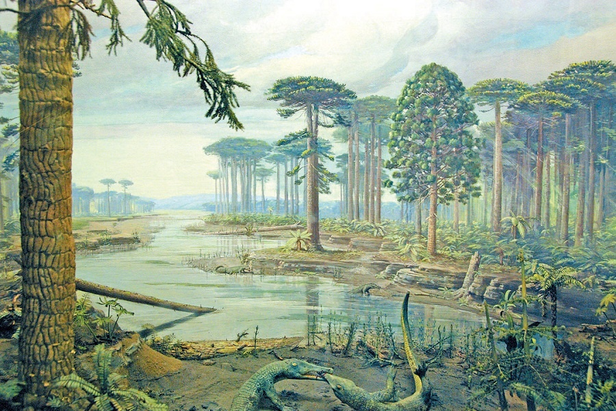 Леса мезозоя. Изображение из интернета