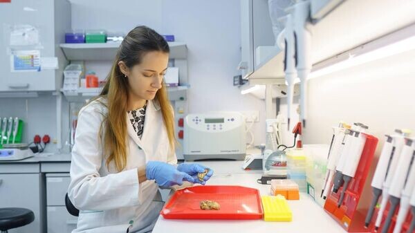    © Telegram Михаил Развожаев