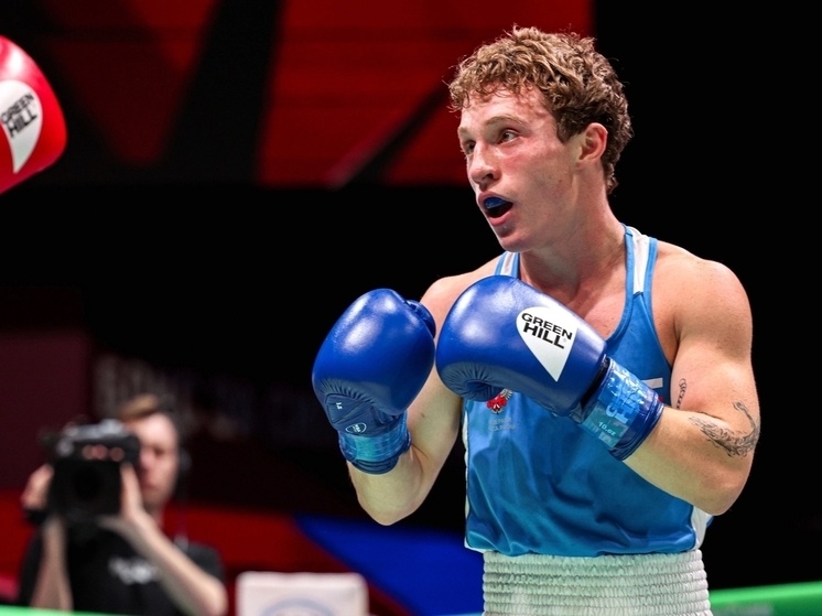     федерация бокса Ярославской области