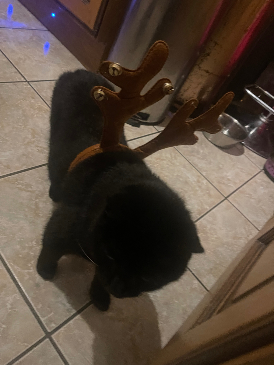 Неискоренимая Викина тяга украшать мир