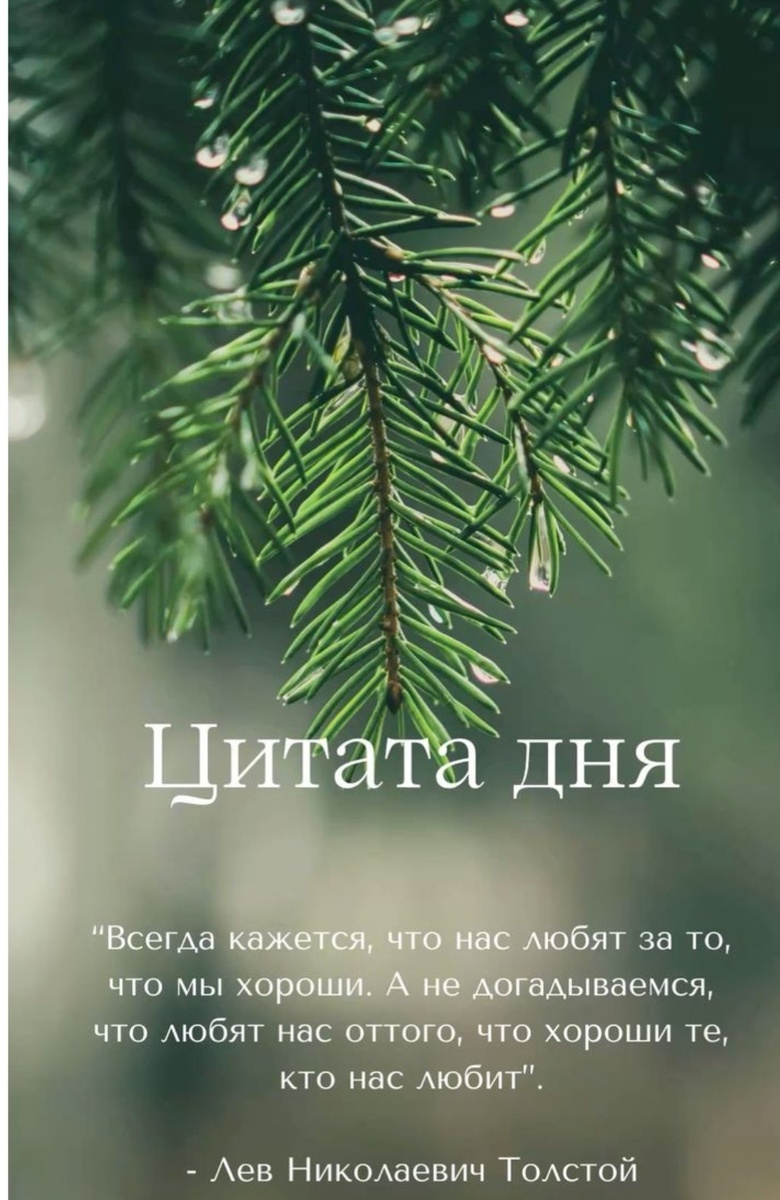 Из открытых источников