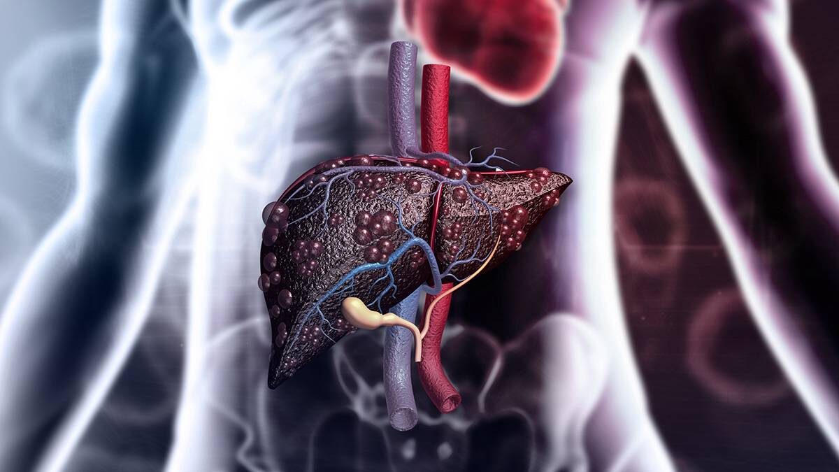    Фото: Shutterstock