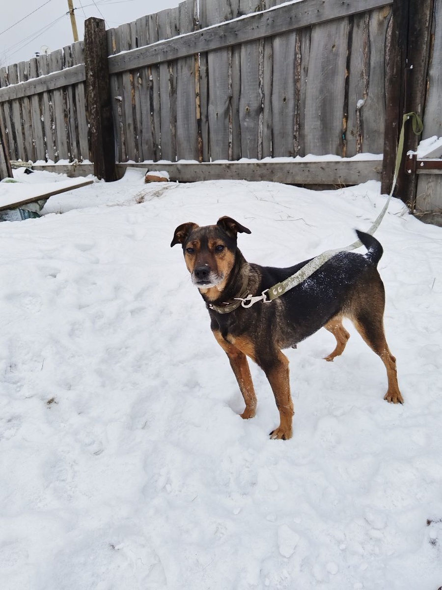 Жительница приюта Лекси, ей примерно 8 лет, готовится к отъезду в свой новый дом