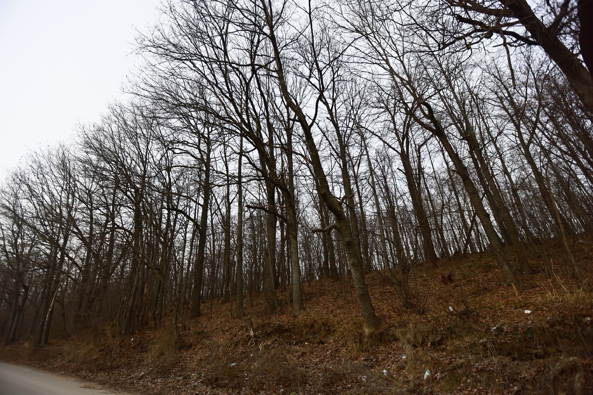    Павел Хацаюк / ИД «Вечерняя Казань»