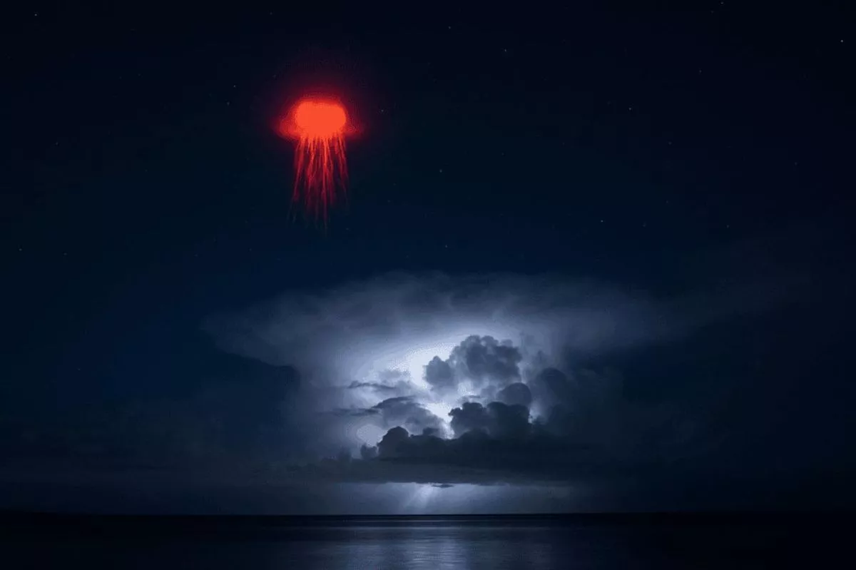 После шторма в океане появились «красные медузы», что породило слухи о вторжении инопланетян.