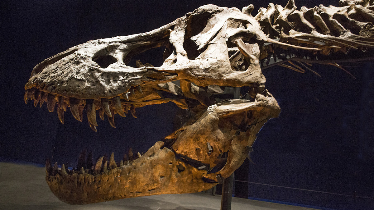   Raphael Gaillarde / Gamma-Rapho / Getty Images- Архивное фото