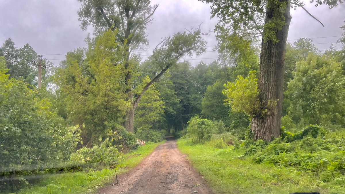 Съезд с главной дороги к усадьбе