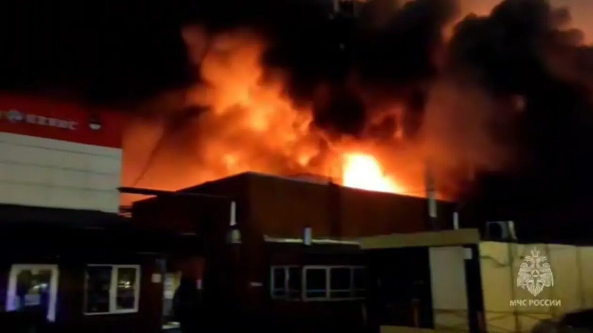    Фото: vm.ru Олеся Шмелева