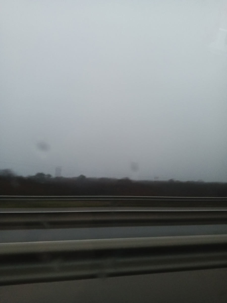 Фото Галины Малышевой