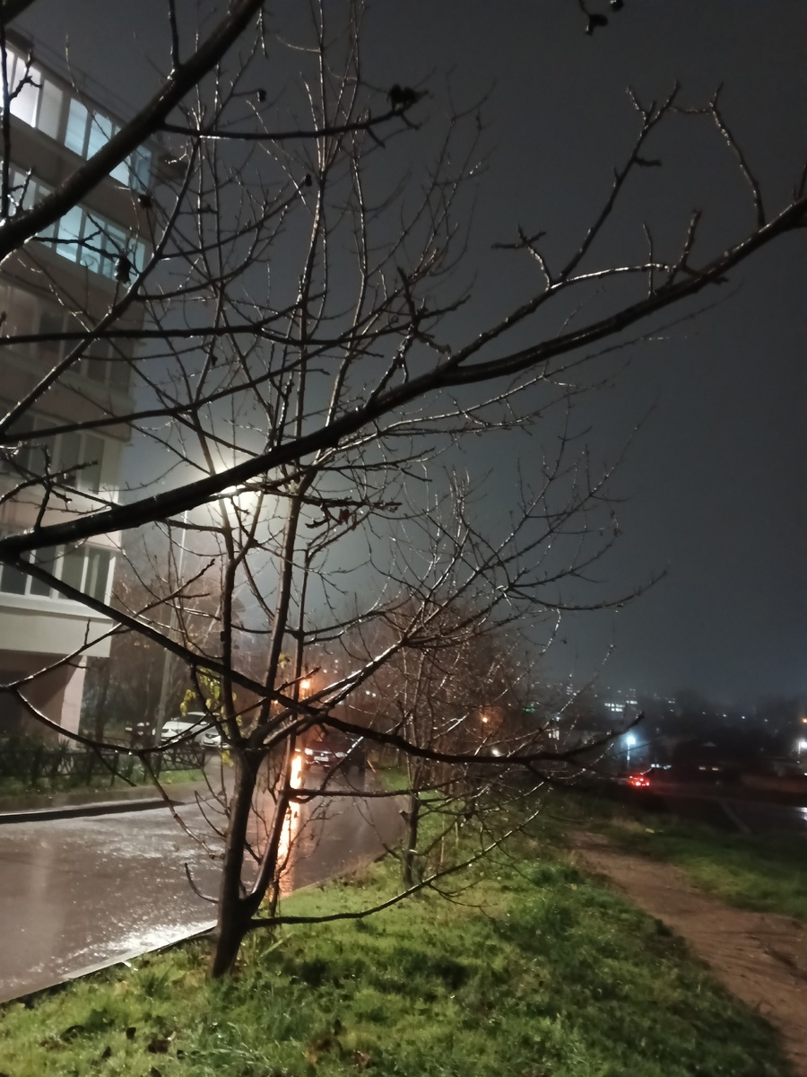 Фото Галины Малышевой