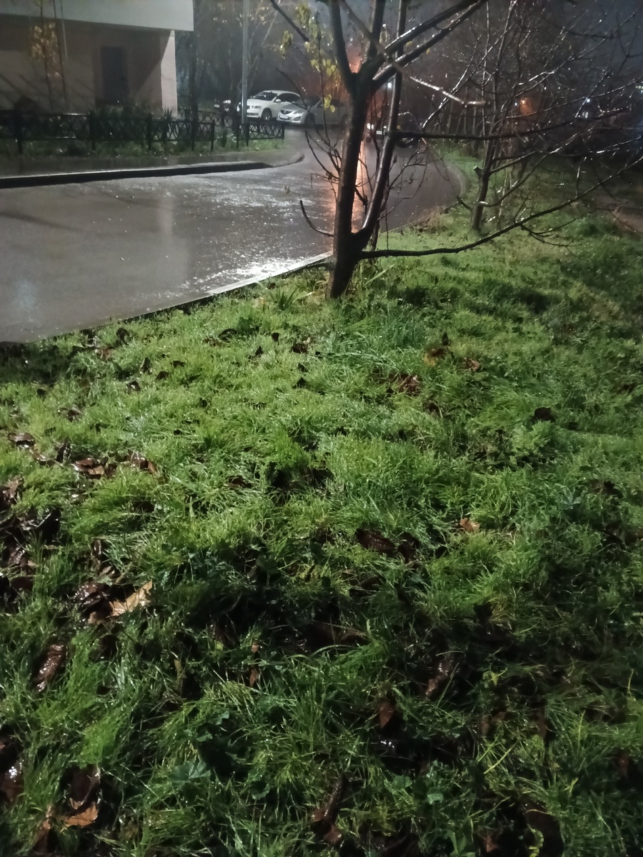 Фото Галины Малышевой