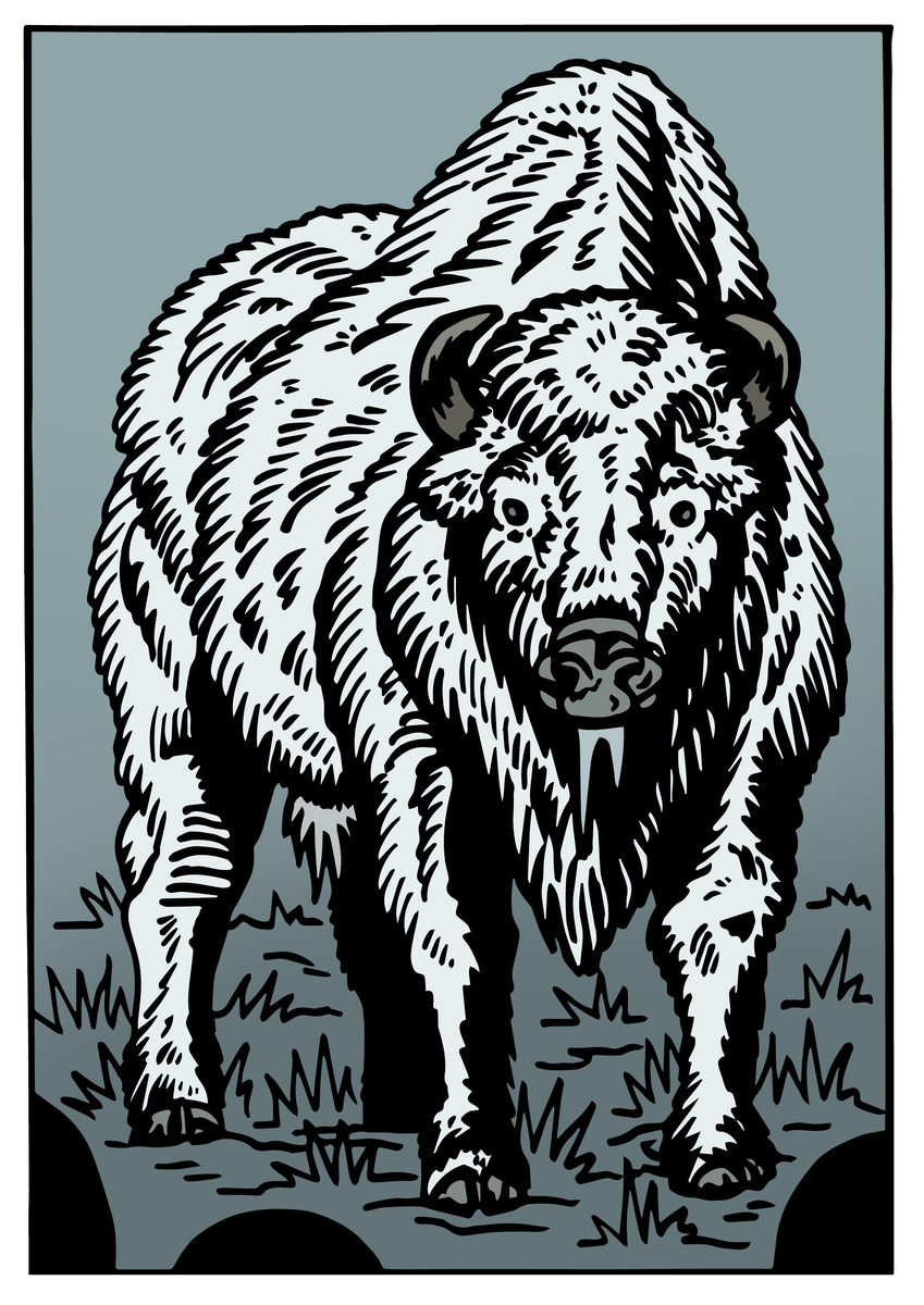 Бык и Озеро - Это Был Большой И Статный Зубр