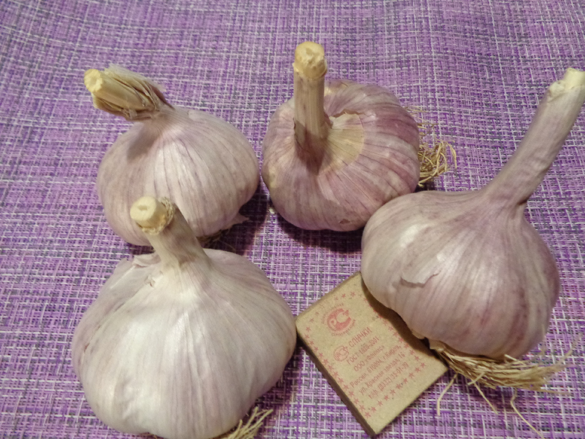 АЗЕБАЙДЖАНСКИЙ ЧЕСНОК