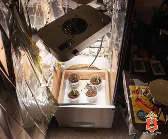 Наркоагрария, работавшего на интернет-магазин, задержали в Тверской области