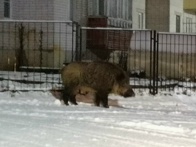    Сергей Теплоухов