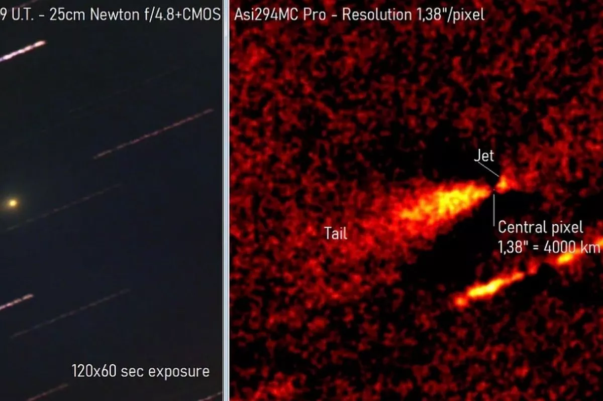 Антихвост кометы 3I/Атлас «перевернулся», поскольку содержит «нечто еще», не встречающееся в обычных кометах (Изображение: Тони Скармато).