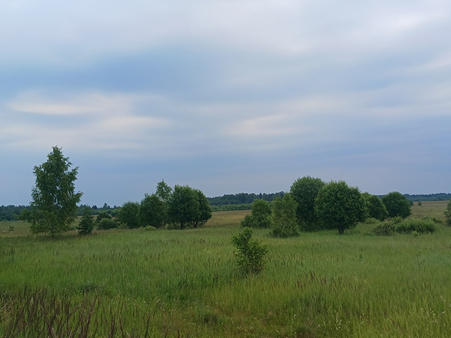 Выявленное нарушение в Зубцовском округе