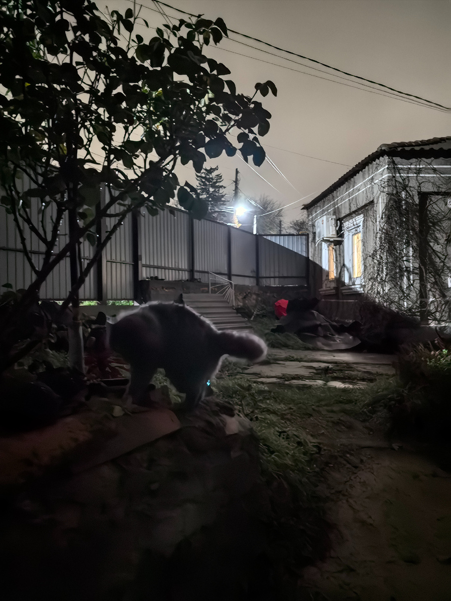 И где ты здесь инструменты, говоришь, оставил?