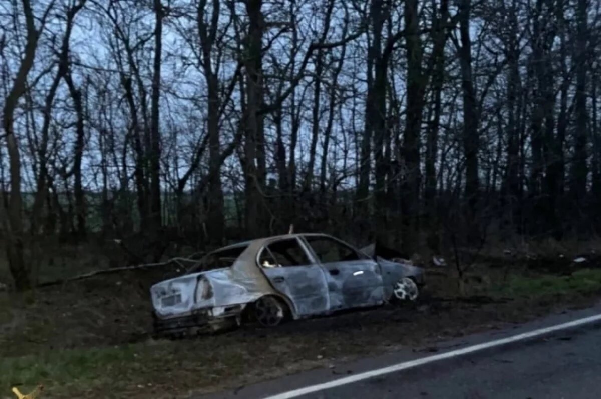    На Кубани водитель сгорел в автомобиле, врезавшемся в дерево