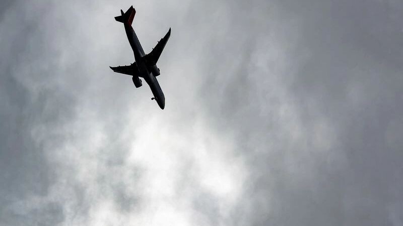    Фото: Vladyslav Horoshevych/Shutterstock/Fotodom