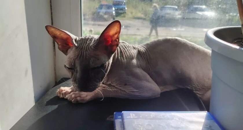    фото из архива редакции