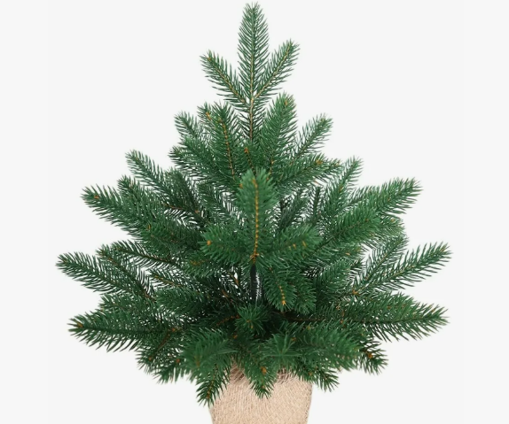 Изображение из открытых источников 