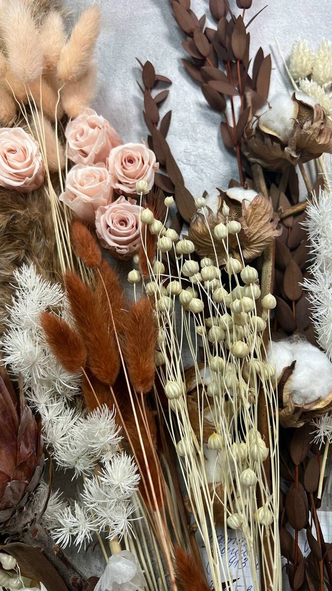 Подборка сухоцветов