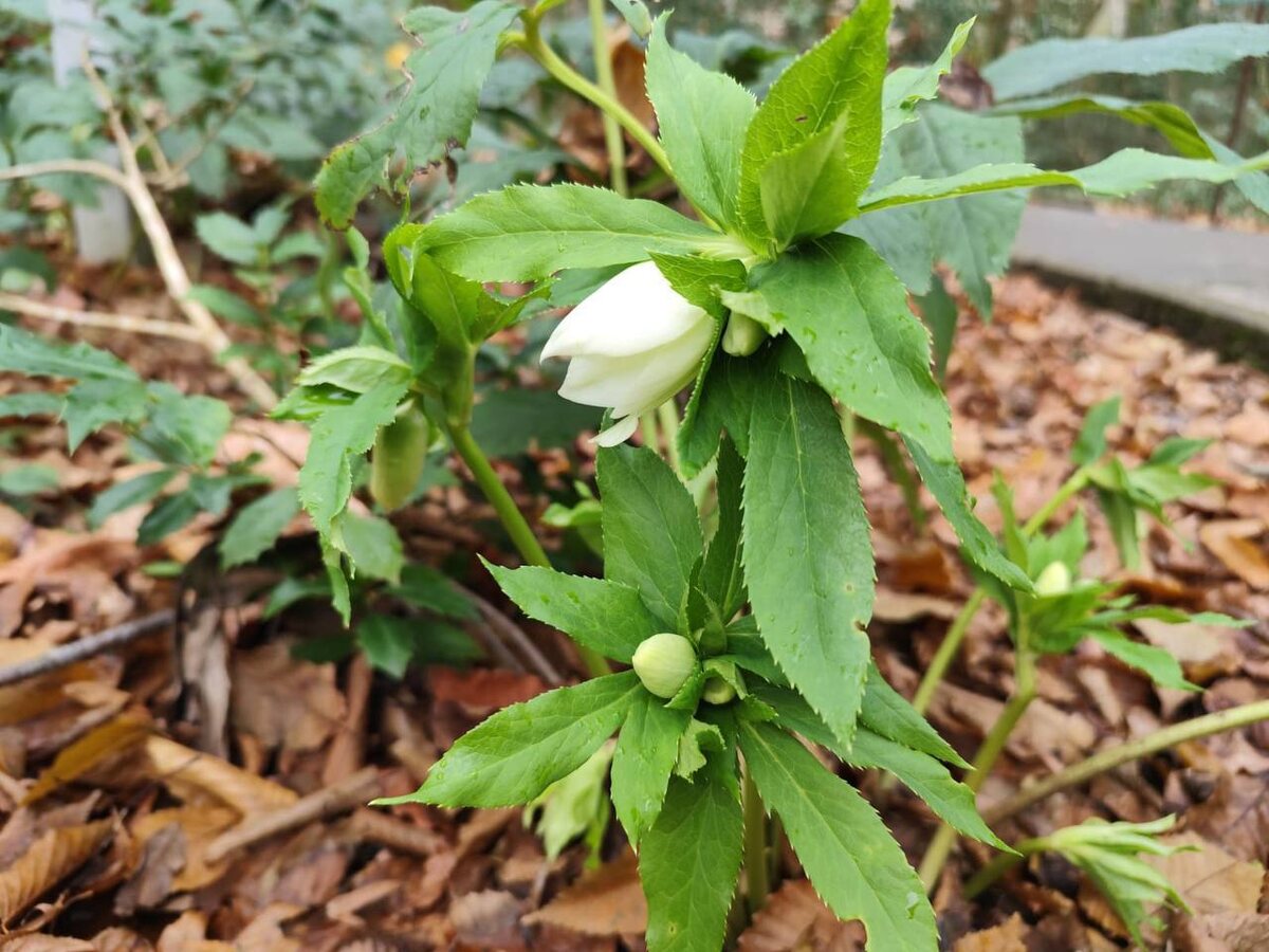 Фото: пресс-служба Кавказского заповедника